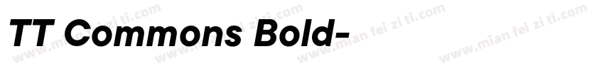 TT Commons Bold字体下载字体转换
